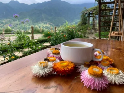 Deluxe Bungalow — Sapa Rosie House & Spa - Mountain Retreat