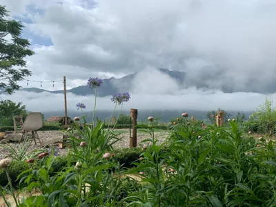 Sapa Rosie House & Spa - Mountain Retreat – Photos 6